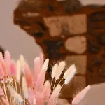 Maria\'S House - Chamezi