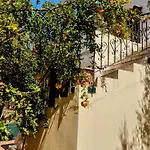 Ktima Tzamika