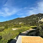 Basilica View