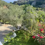 Aktipis Studios 1