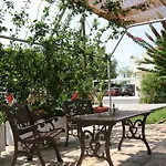 Pandora Di Natura Studios