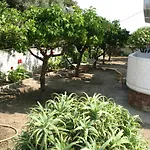 Pandora Di Natura Studios