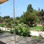 Pandora Di Natura Studios