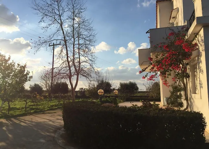 Swan House Panoramic View - Near The Sea