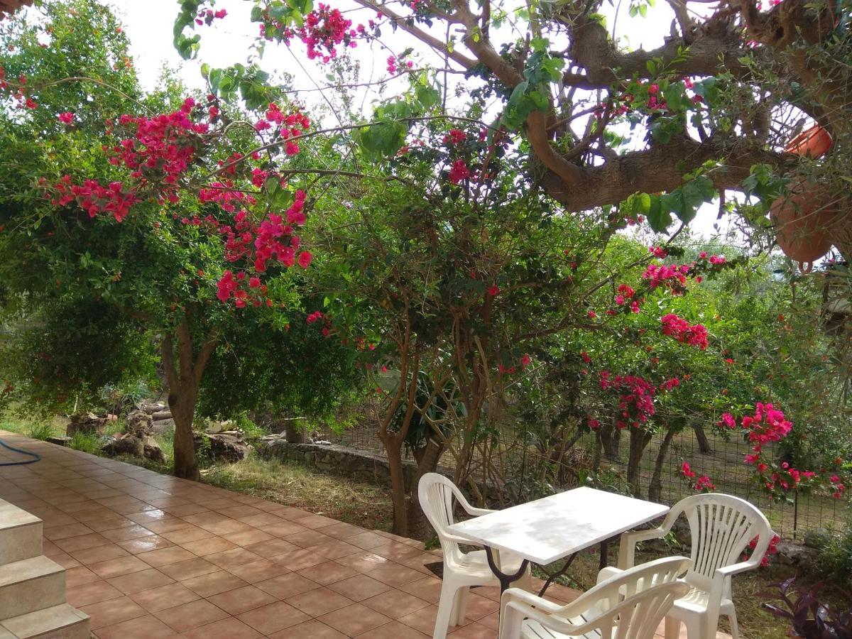 Ktima Tzamika Apartment Episkopi (Rethymno)