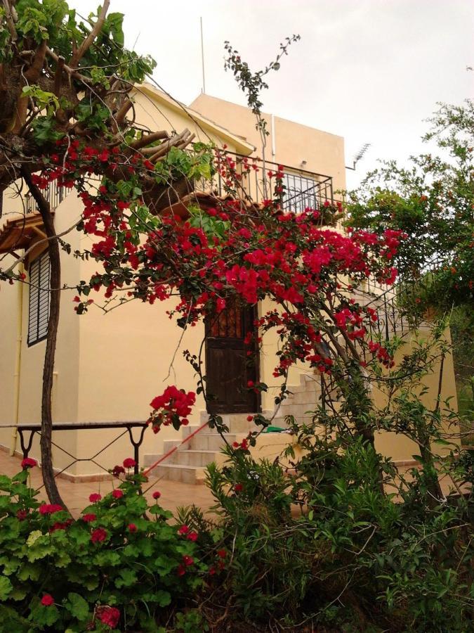 Ktima Tzamika * Episkopi (Rethymno)