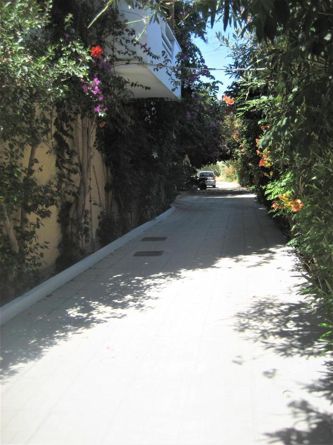 Apartment Corina