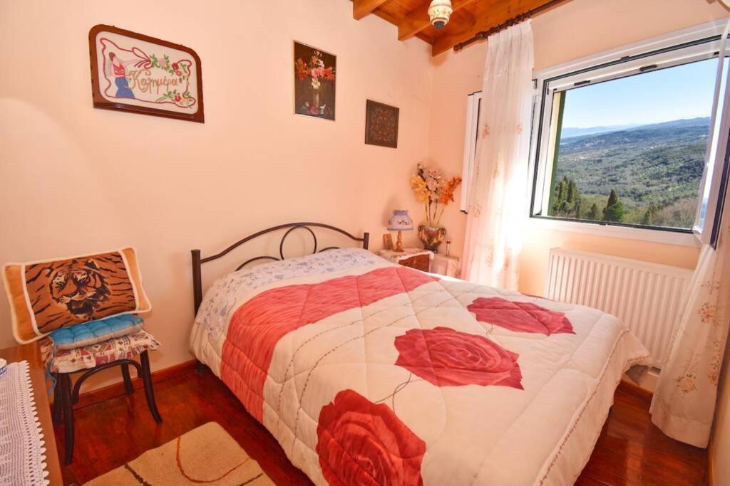Traditional House With Amazing View Apartment *