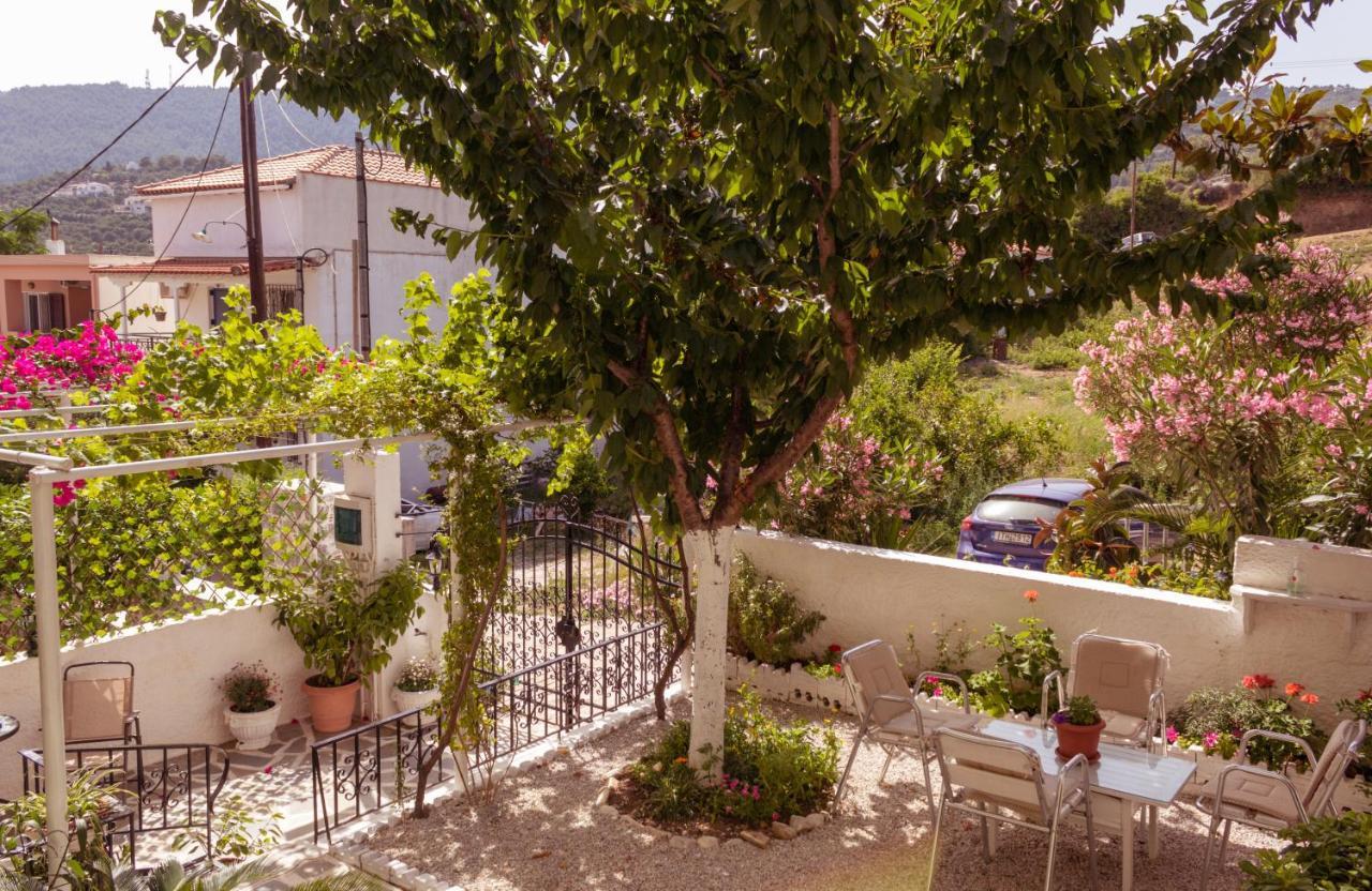 Alexandra's House Skiathos Town