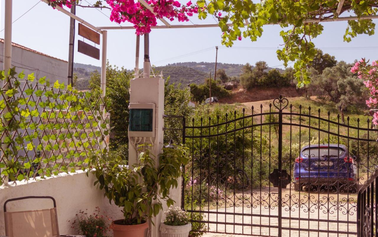 Guest house Alexandra's House