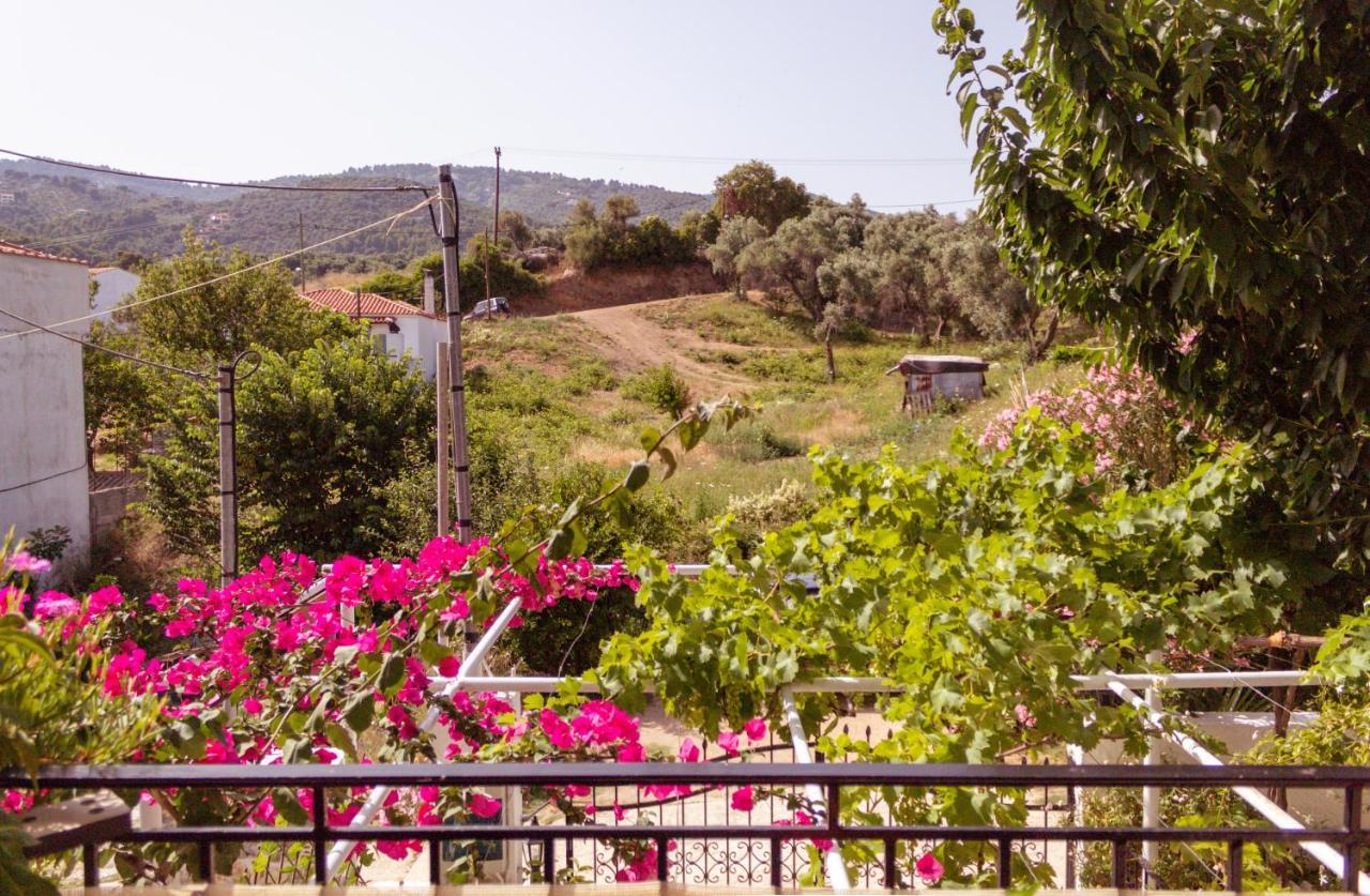 Guest house Alexandra's House Skiathos Town