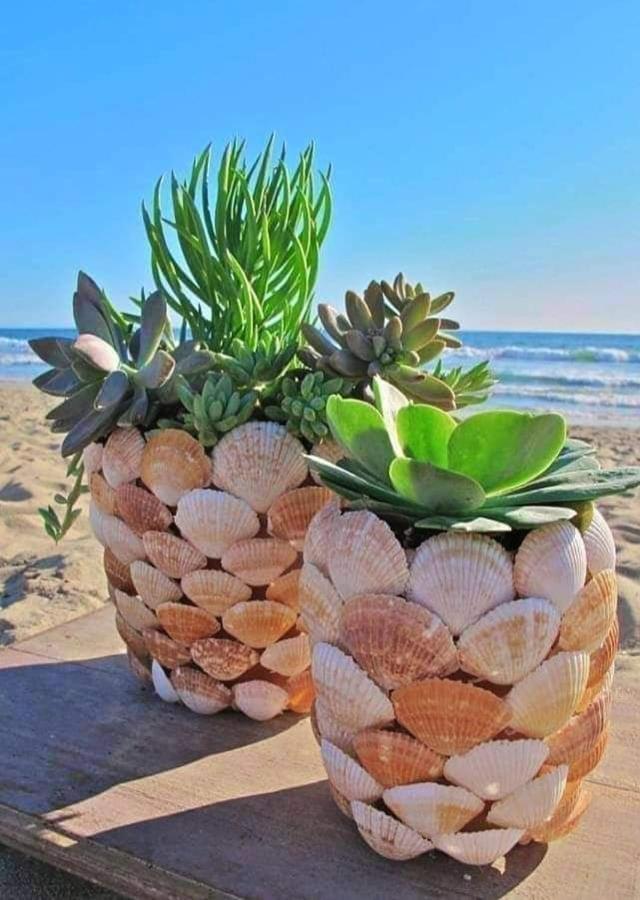 Trypitos * Sitia (Crete)