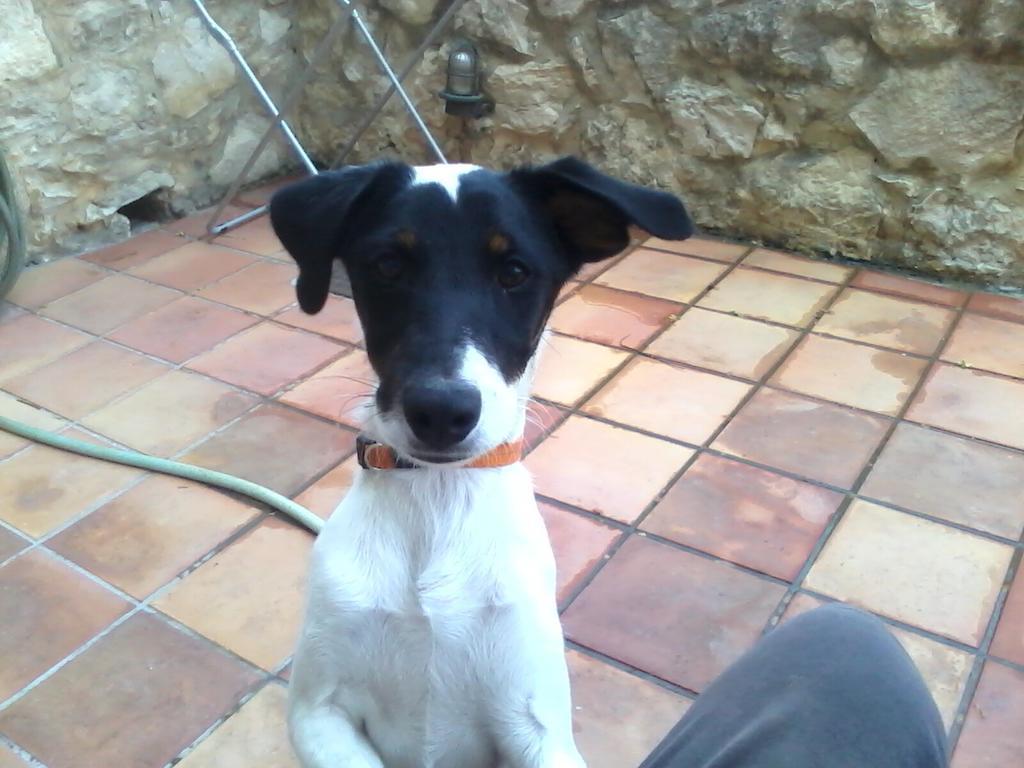 Stella * Kournas