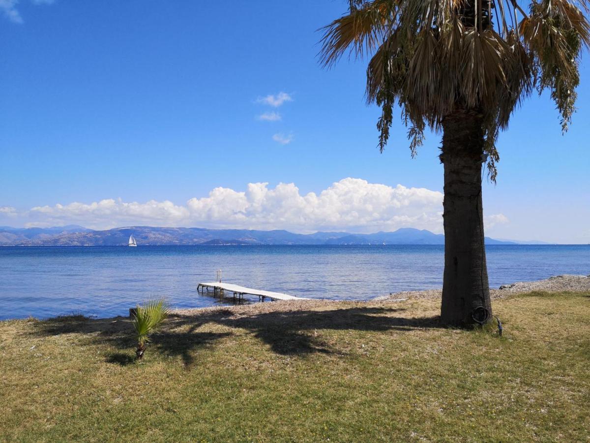Apartment Irini