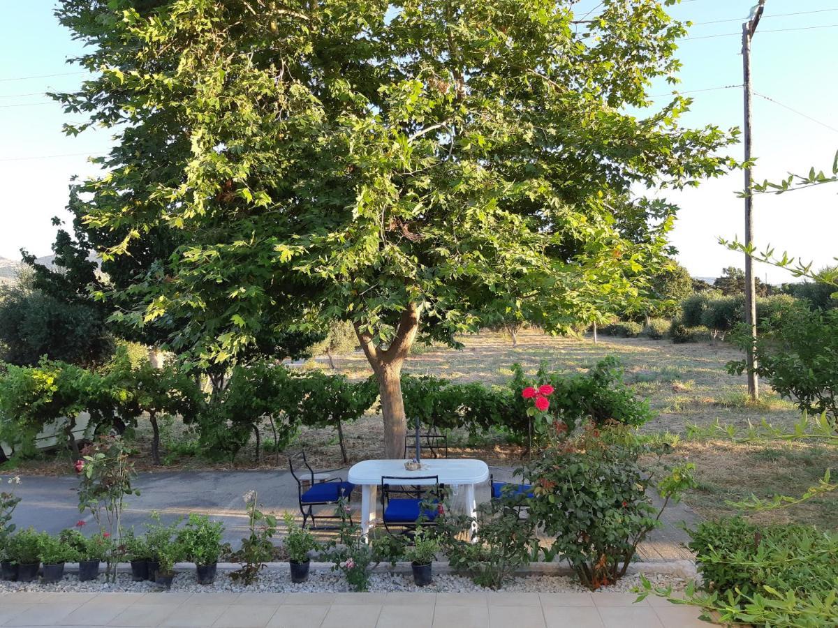 Swan House Panoramic View - Near The Sea