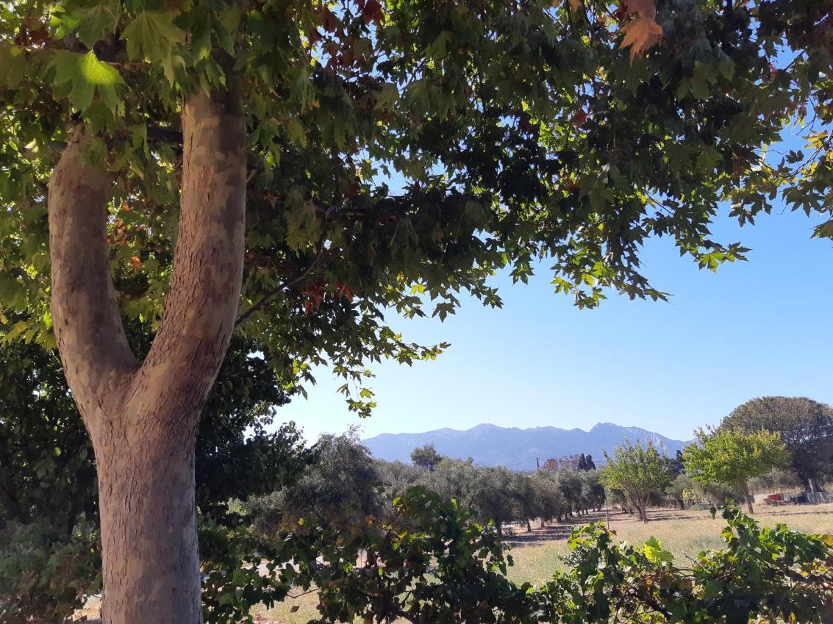 Swan House Panoramic View - Near The Sea Holiday home Ziparion