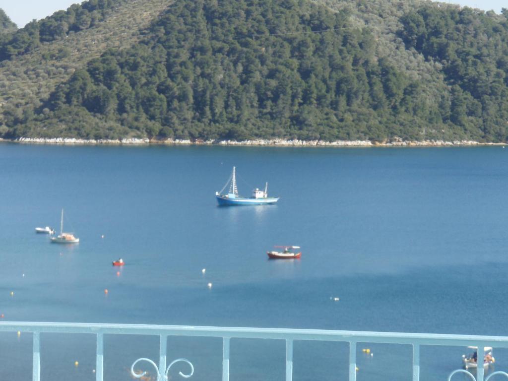 Agnantema Portside
