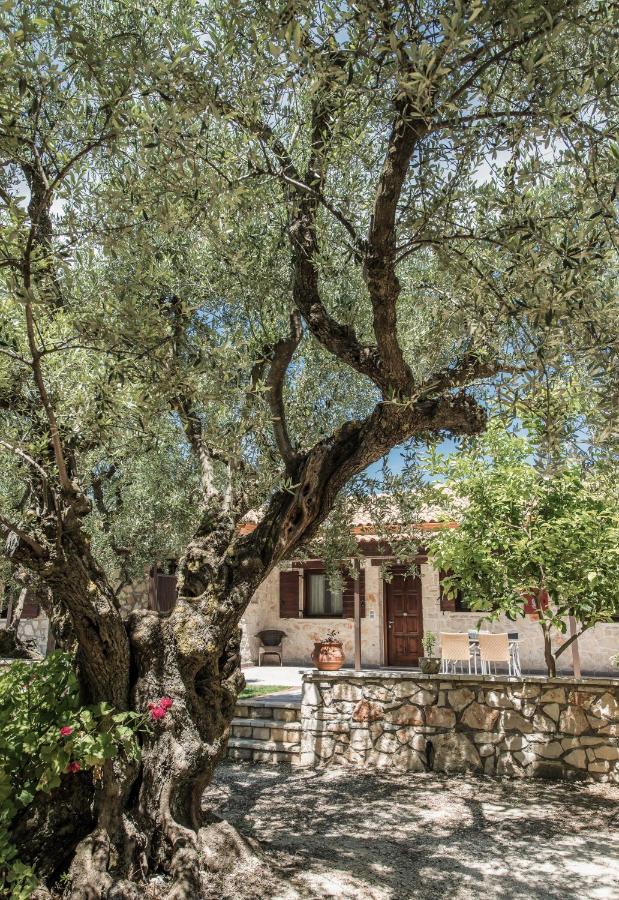 Villa Agrikia *
