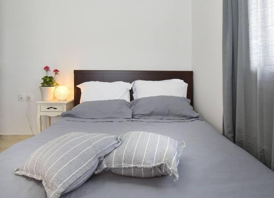 Apartment Cozy Bright