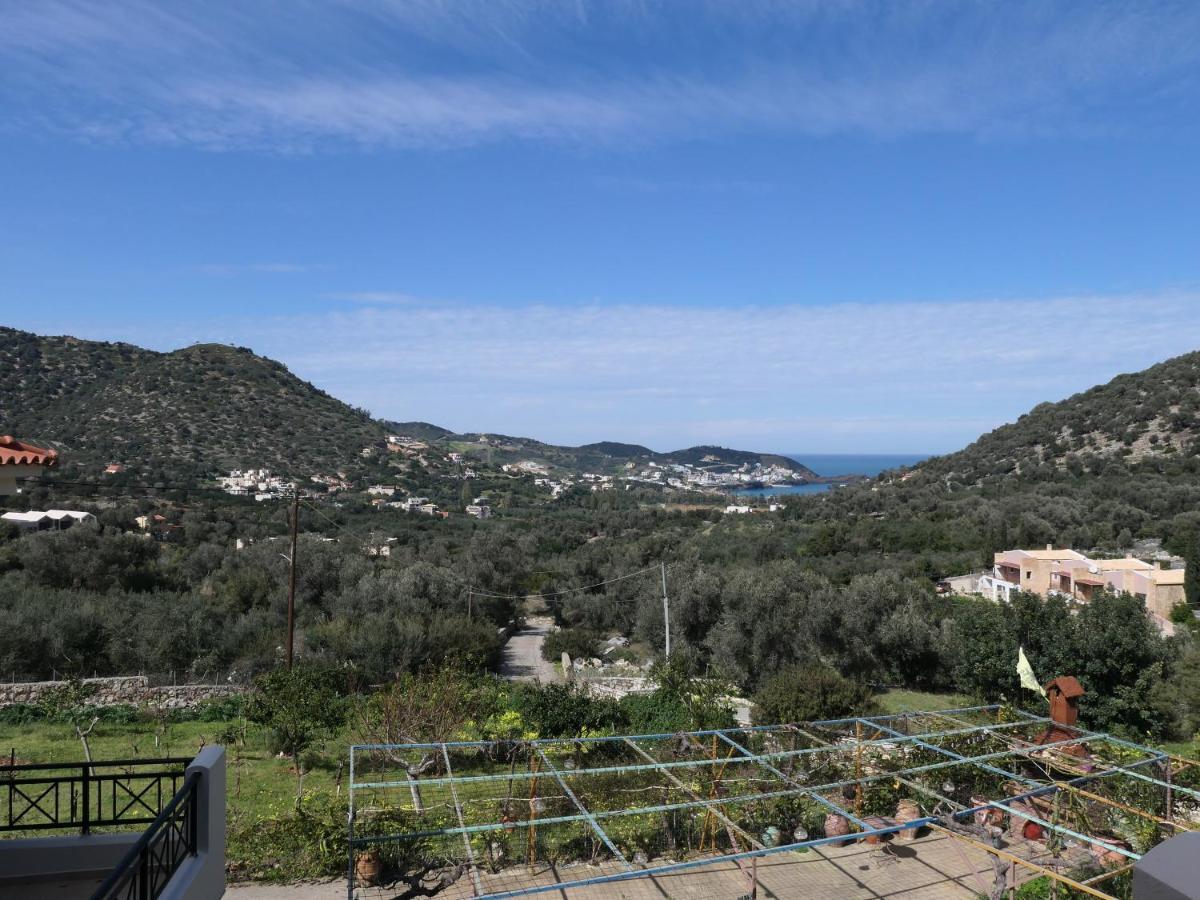 Alexandra Holiday home