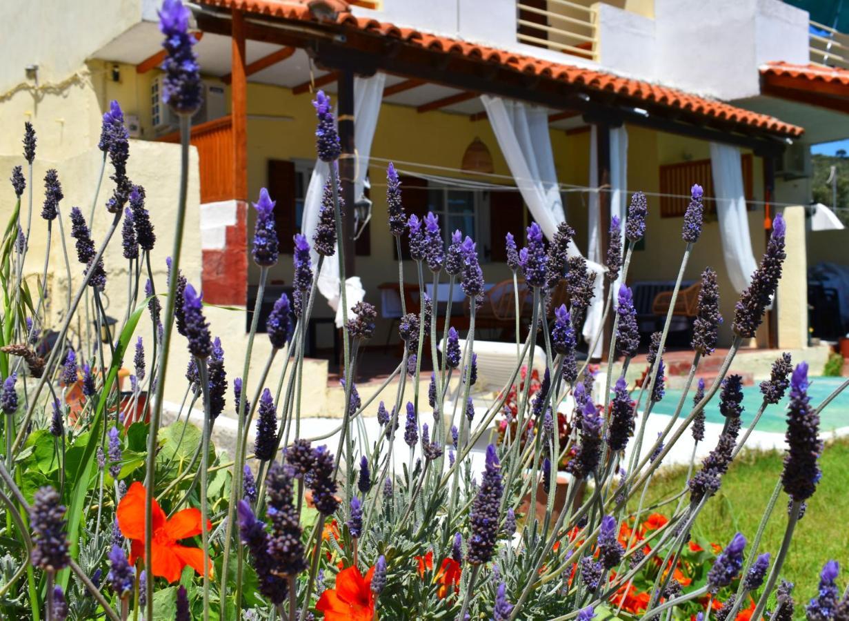 Krini Skiathos Town