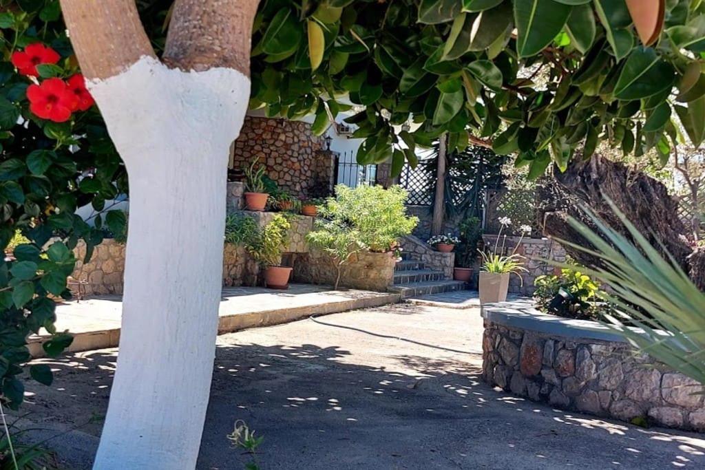 Villa Athina's With Heated Pool Koskinou (Rhodes)
