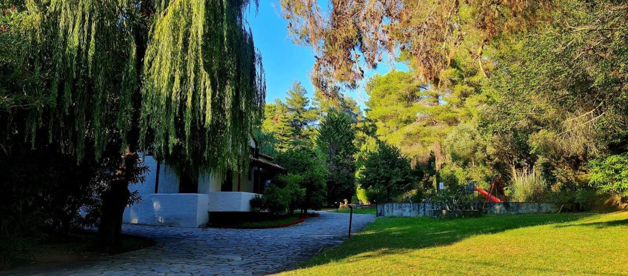 Aparthotel Amalia