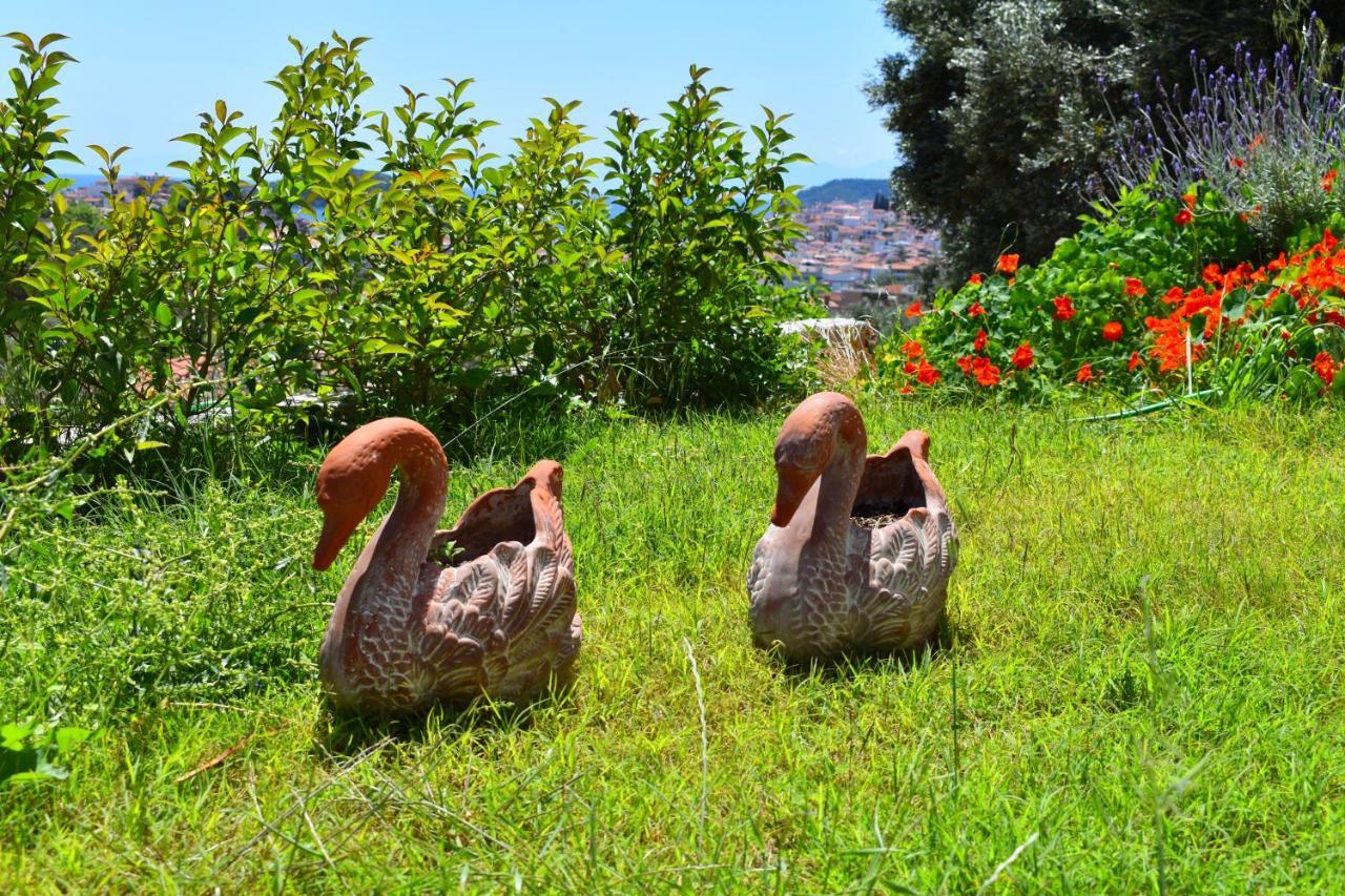 Krini Skiathos Town