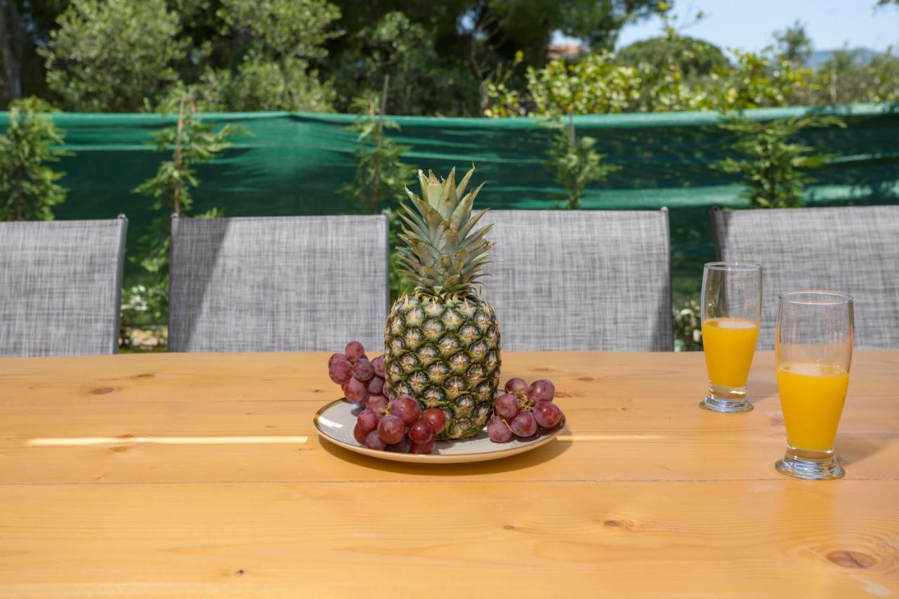 Holiday home Melody Complex Akrotiri (Zakynthos)