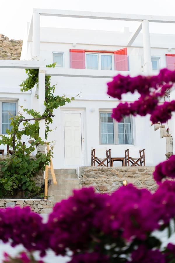 Rhenia Hotel 4*