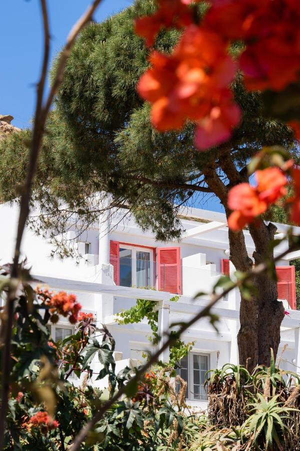 Rhenia Hotel 4*