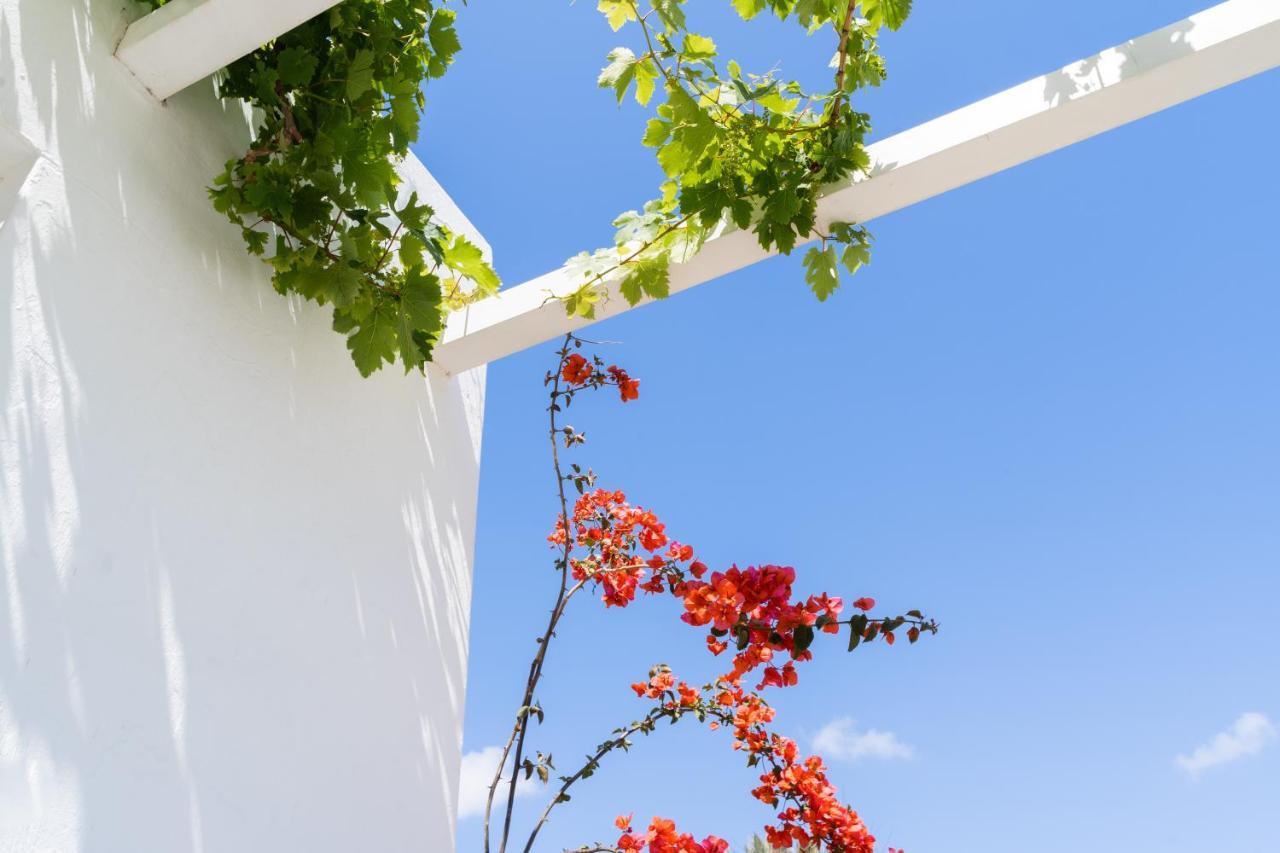 Hotel Rhenia Tourlos