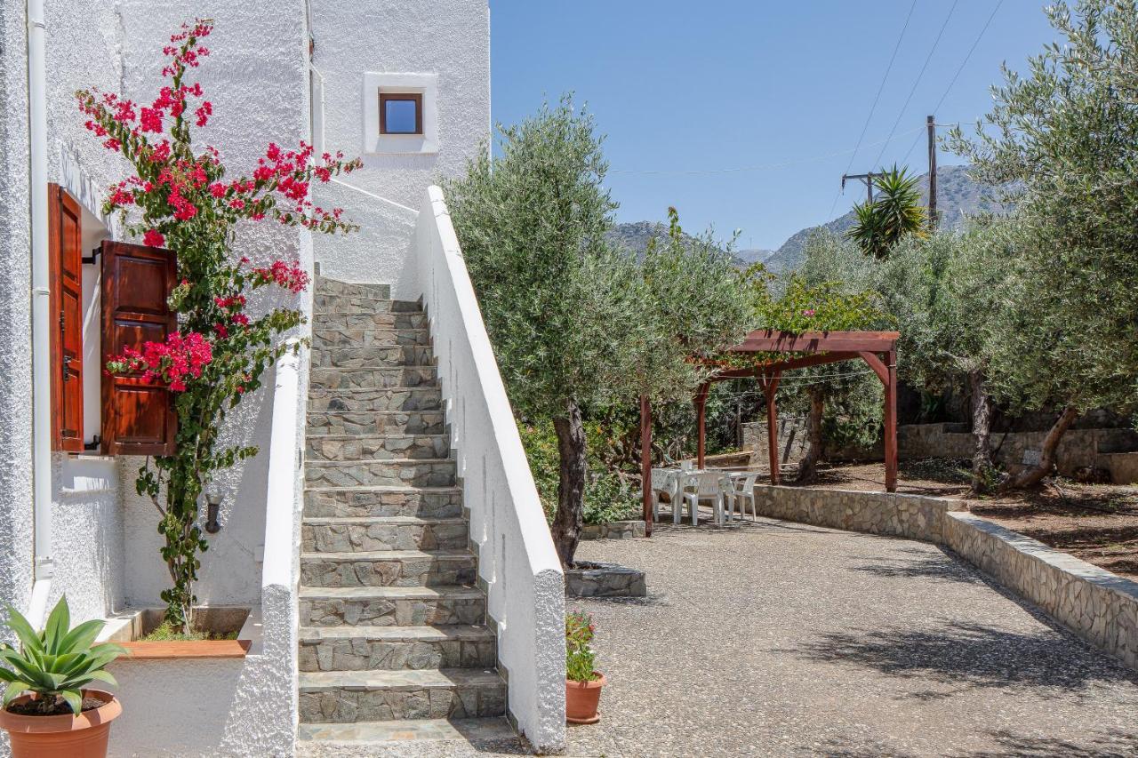 Eleftheria Studios *