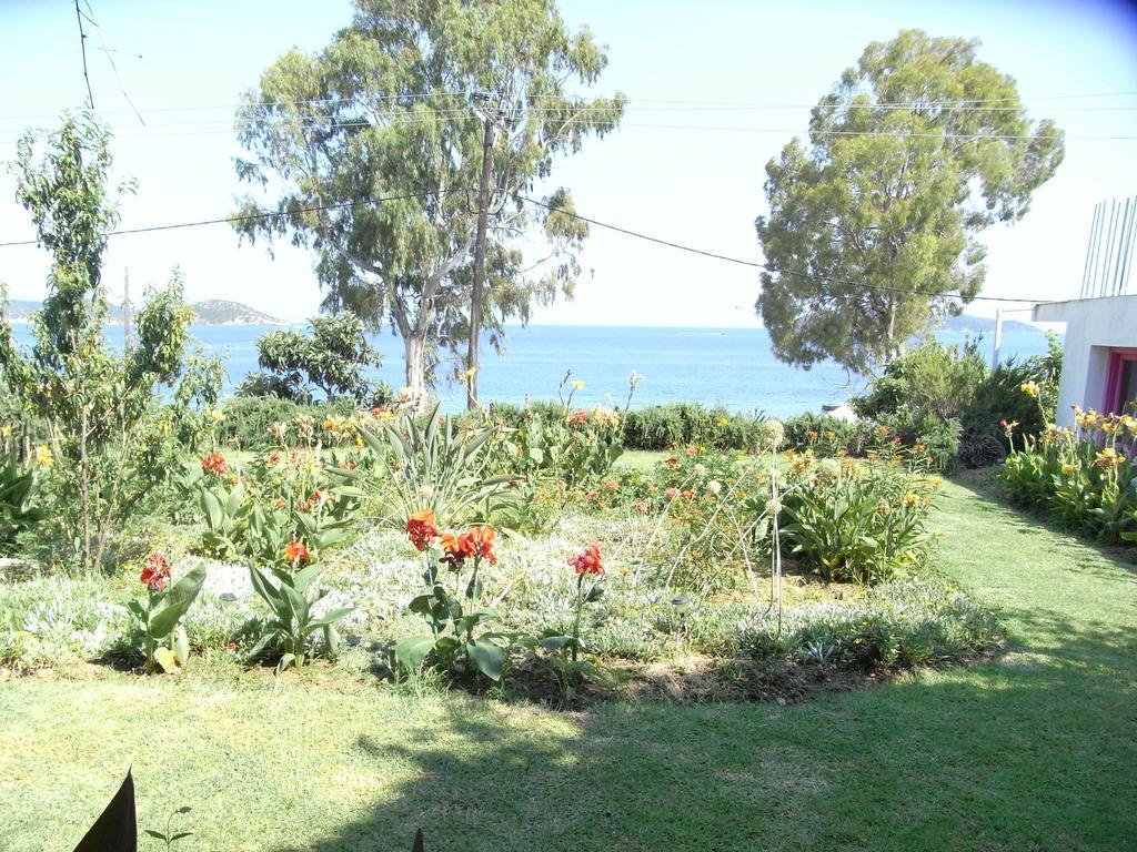 Guest house Nefi (adults Only) *