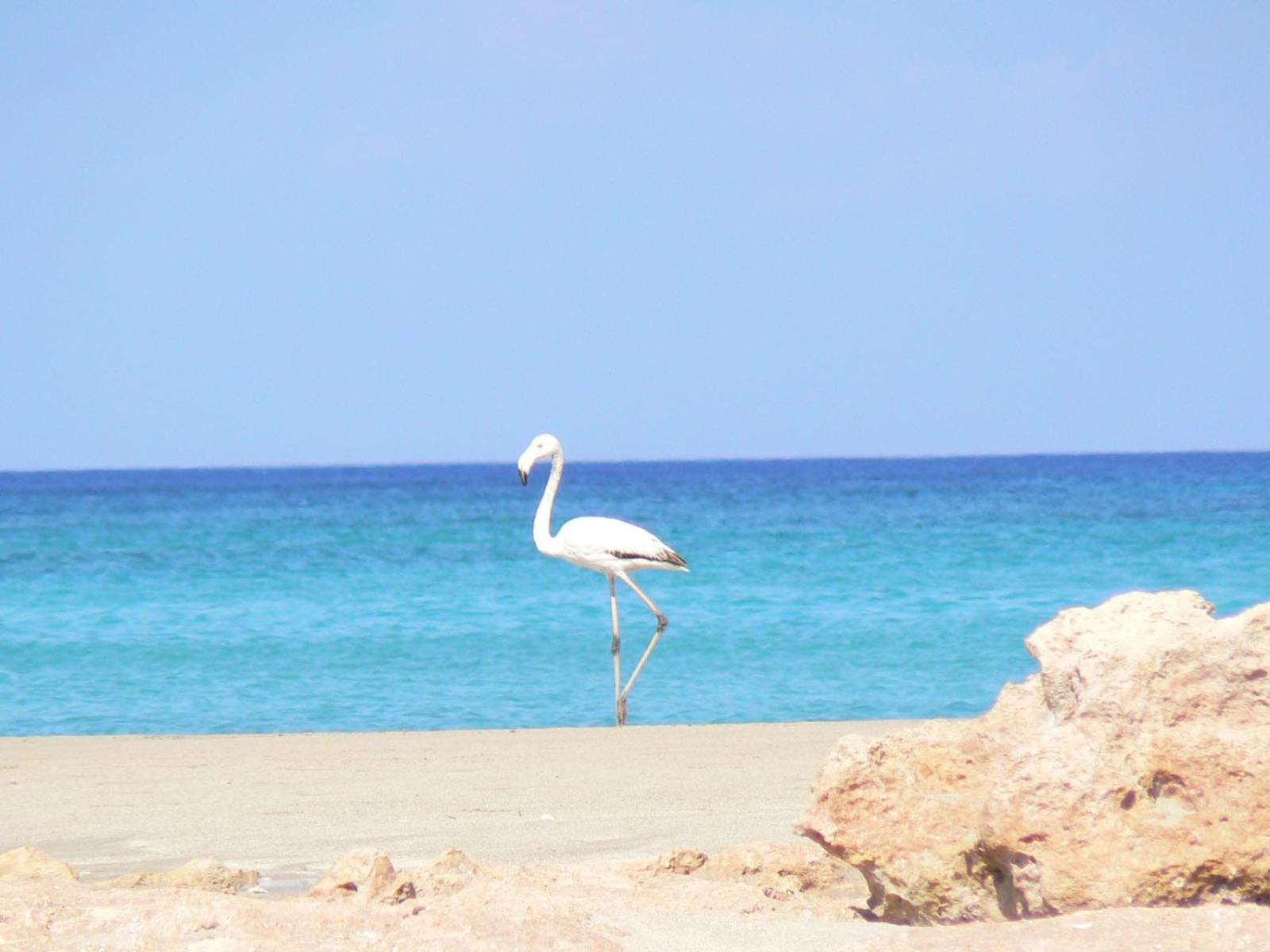 Alkionides Villas Villa *