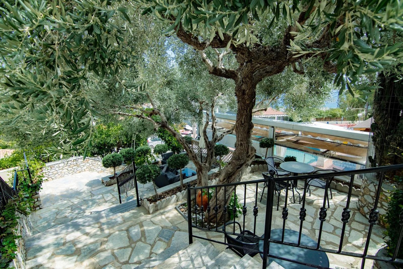 Hotel Nina Adult Only