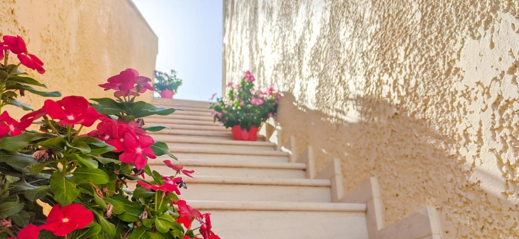 Sunrise Apartment Palekastro