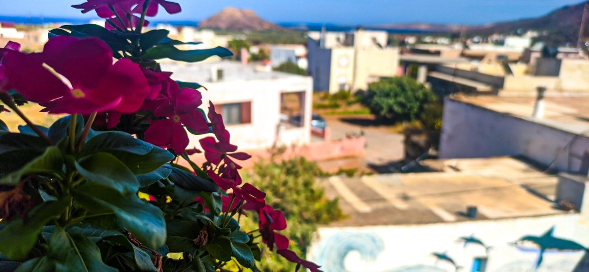 Apartment Sunrise Palekastro