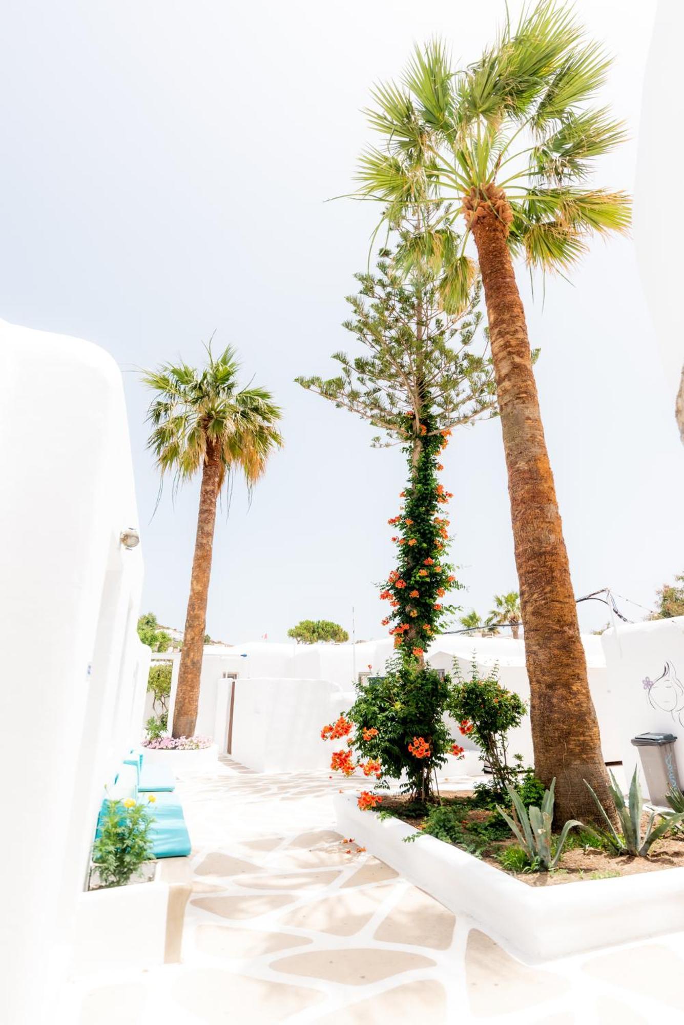 Paradise Paradise Beach (Mykonos)