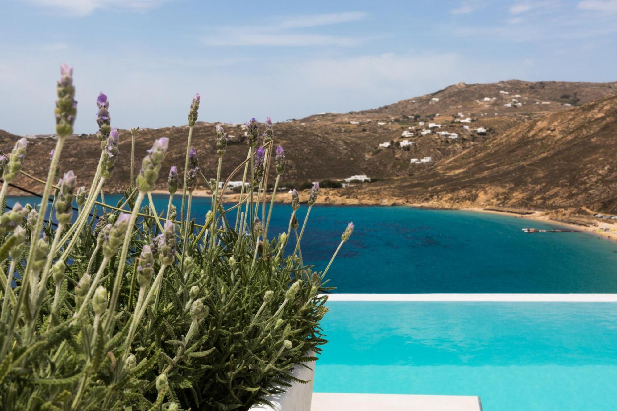 Greco Philia Boutique Elia (Mykonos)
