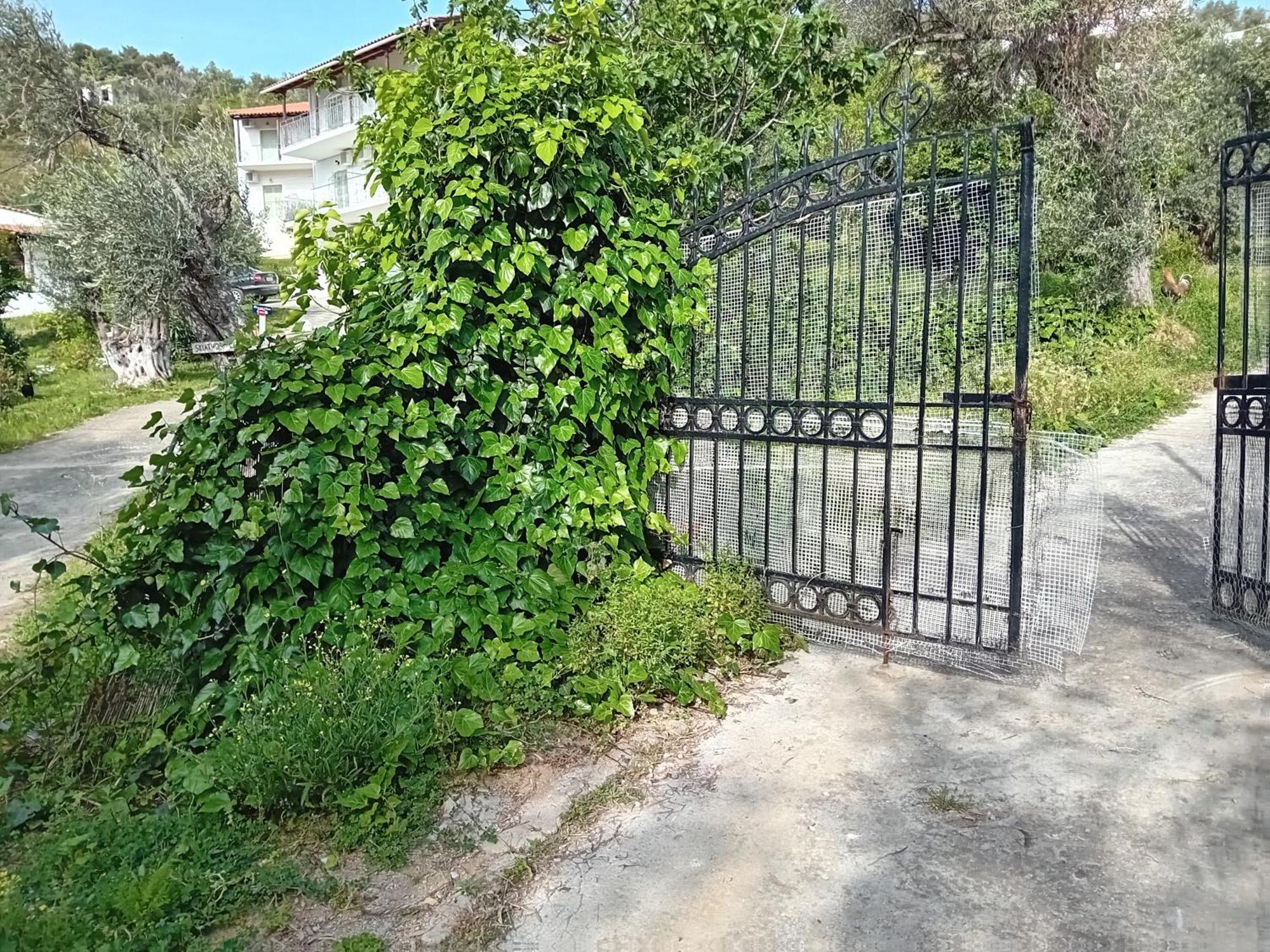 Krini * Skiathos Town