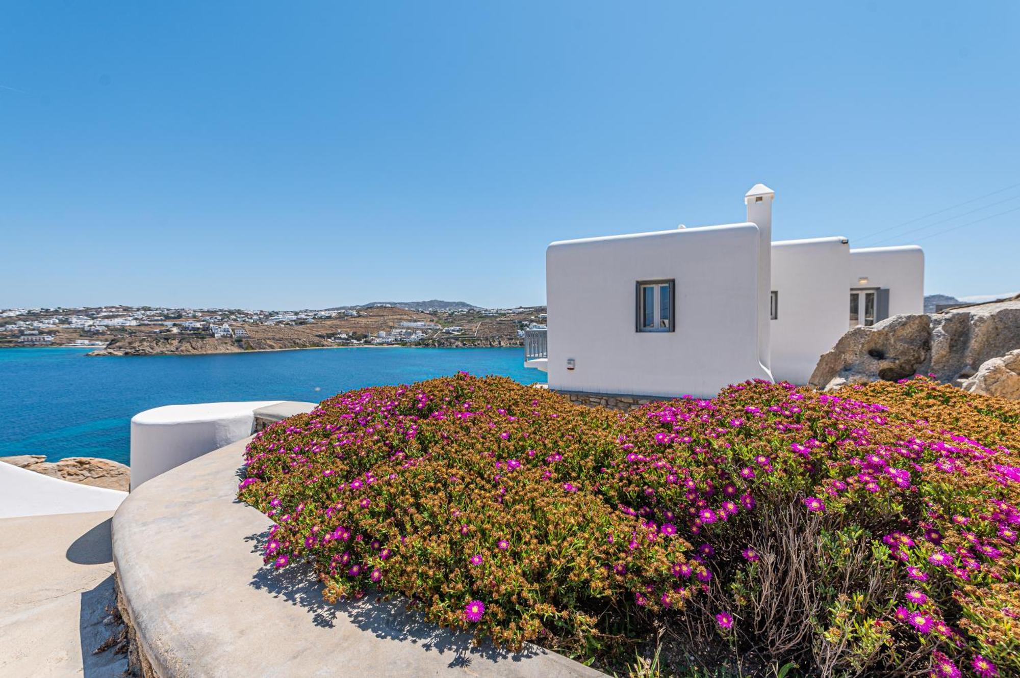 Villa Carpe Diem Mykonos ,heated Pool!