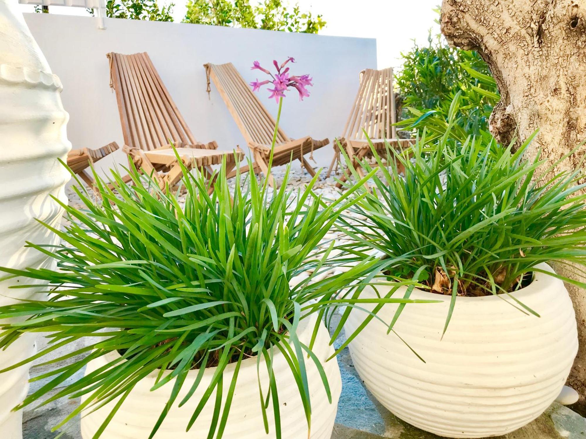 Apartment Almyrida Sands *