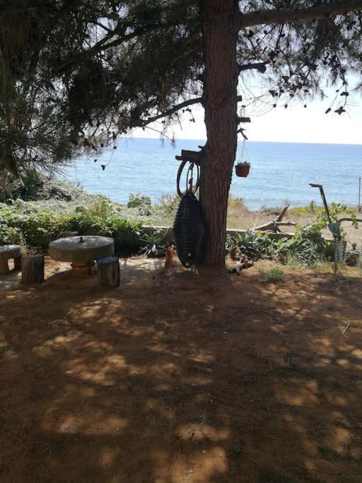 Holiday home Joanna-thanos Beachfront *
