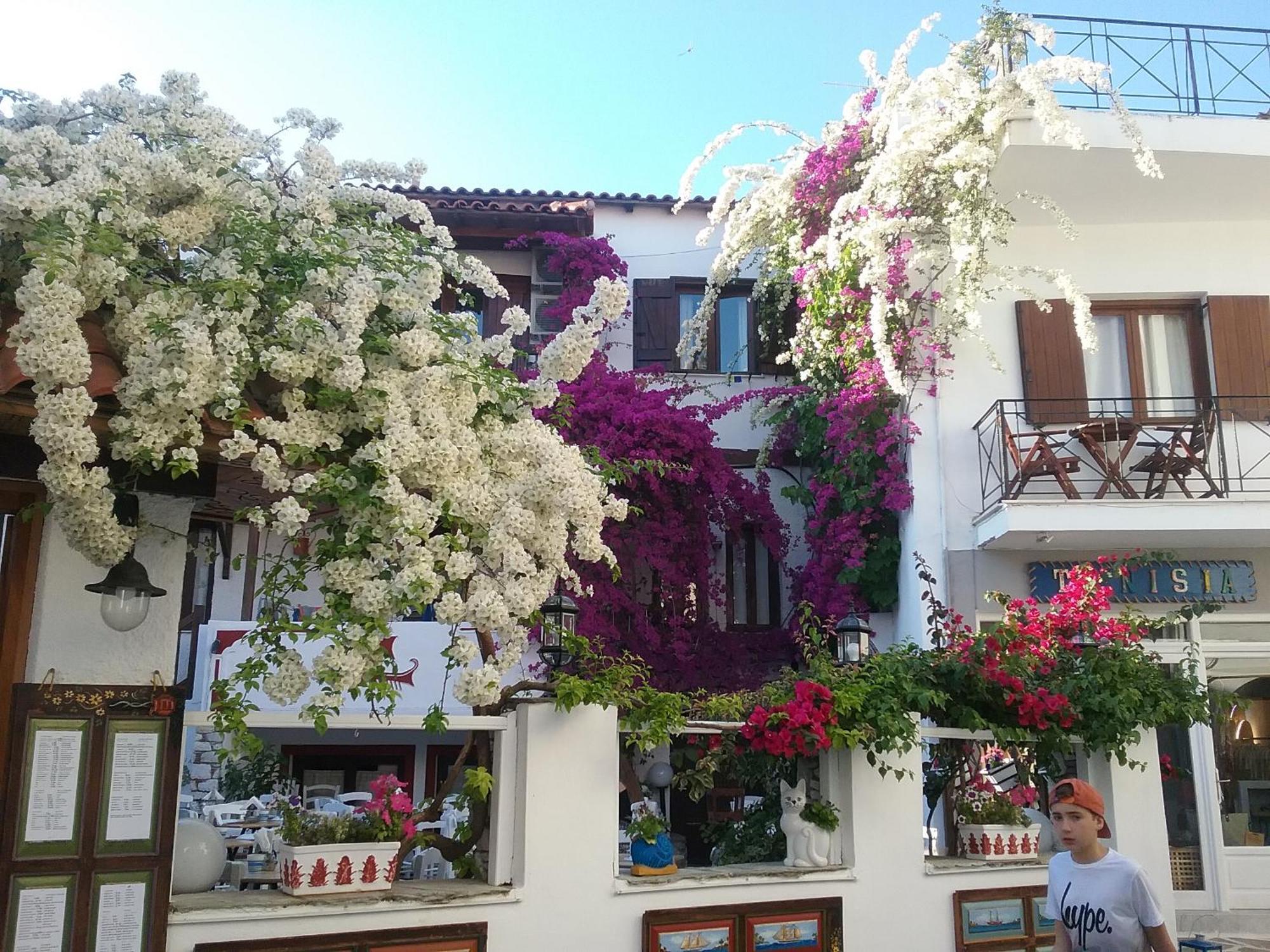 Mouria Skiathos Town