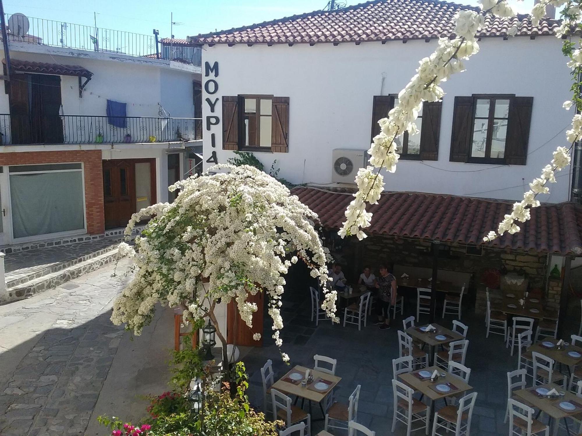 Hotel Mouria *