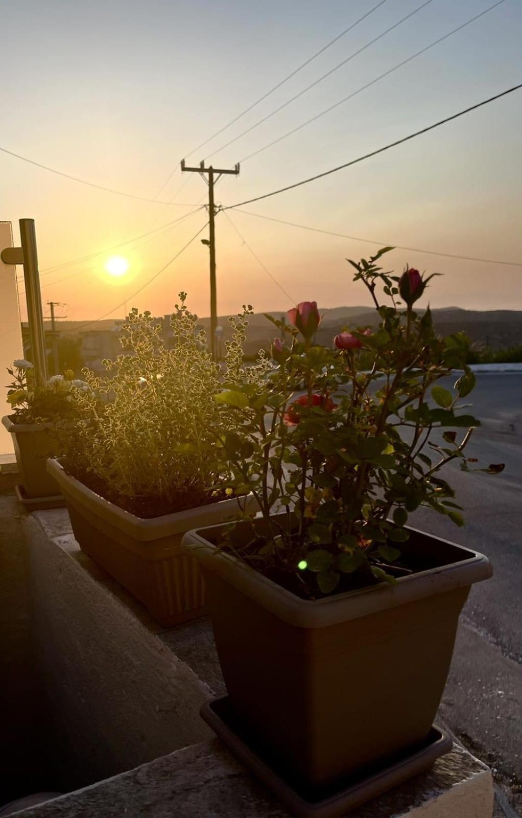 Trachos Traditional House Salakos