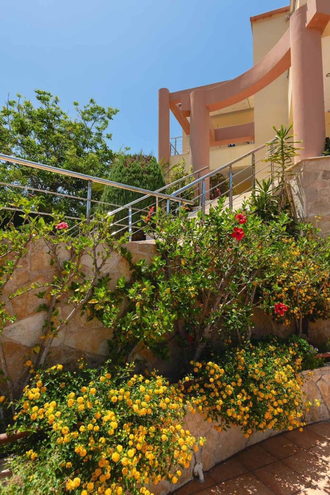 Apartment Thin Alos Crete Tavronitis (Crete)