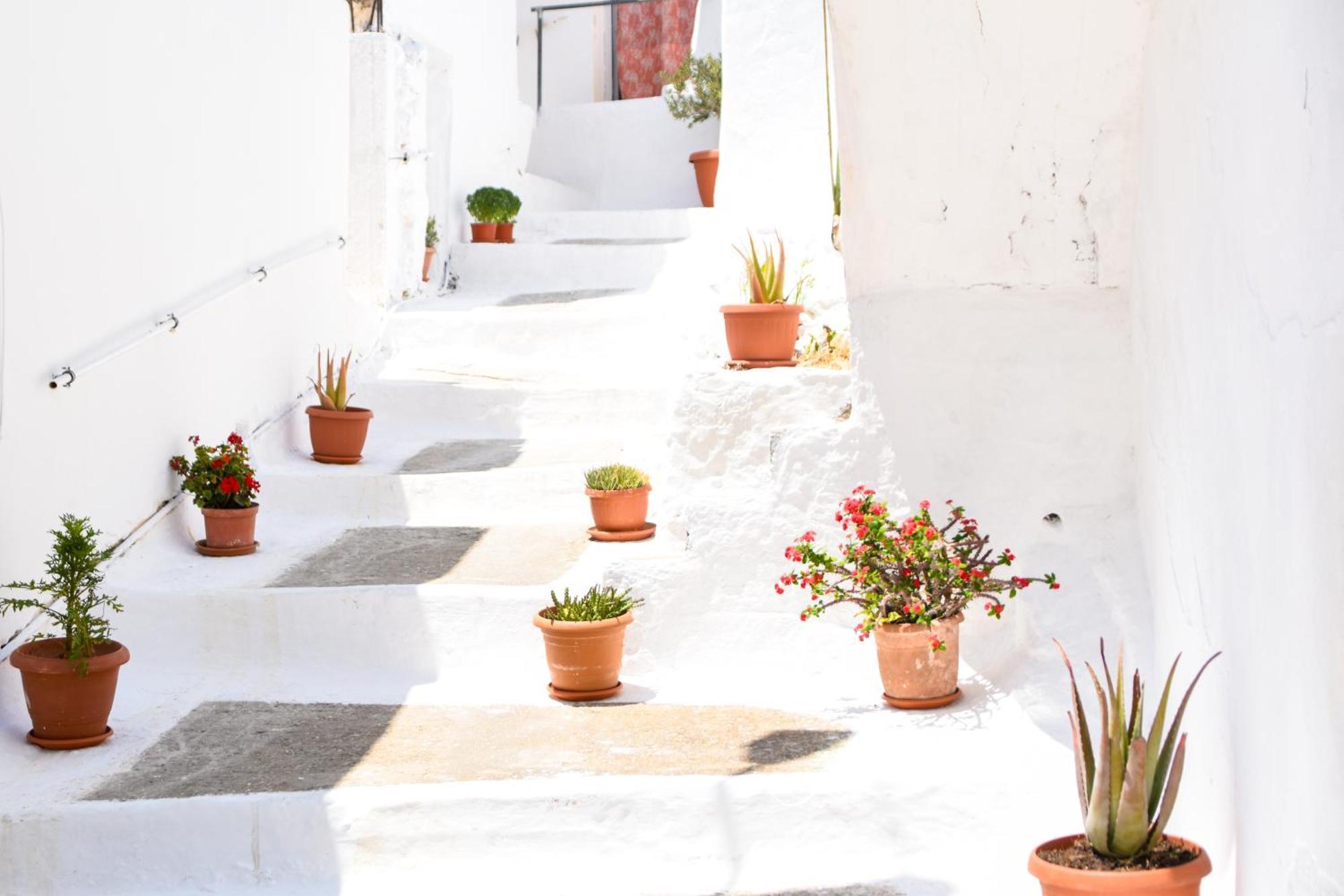 Holiday home Maria's House - Chamezi Sitia (Crete)