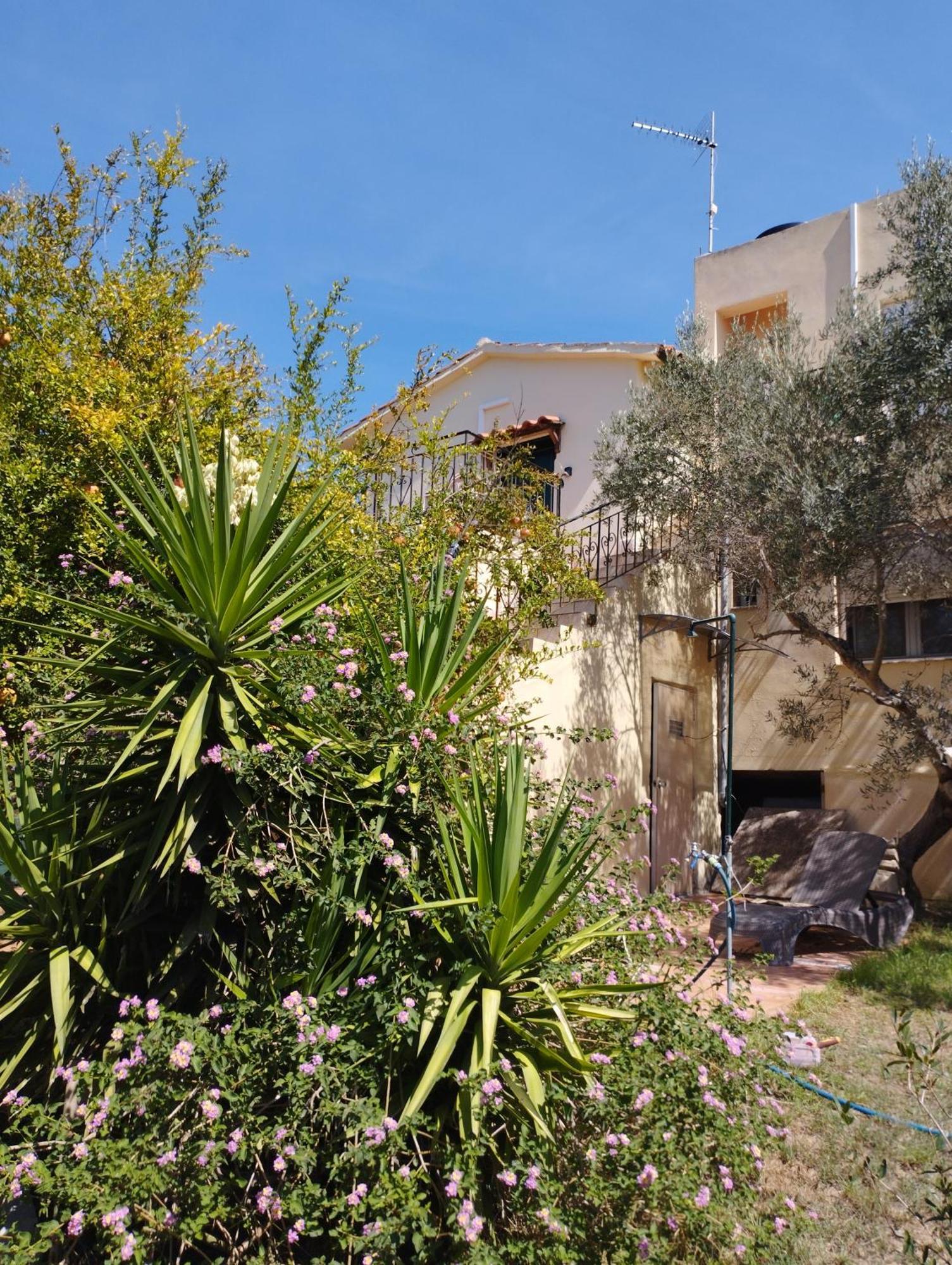 Apartment Ktima Tzamika